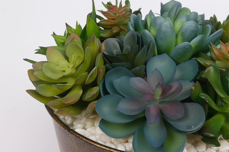 Arreglo-Plantas-Suculentas-Artificiales-con-Macetas-de-Hierro-Maceta-de-Flores-Suculentas-para-Decoración-de-Hogar-y-Hotel (3).jpg 